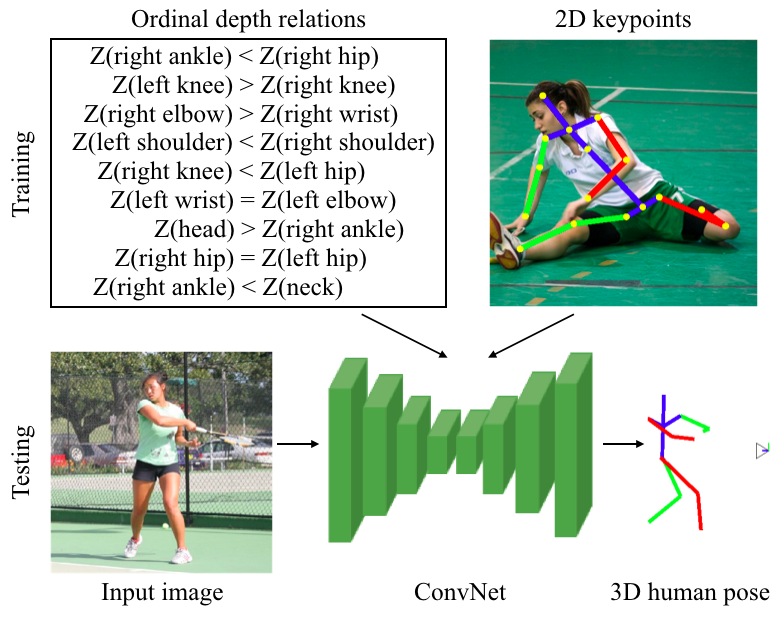 Optimising 2D Pose Representations: Improving Accuracy, Stability and  Generalisability Within Unsupervised 2D-3D Human Pose Estimation